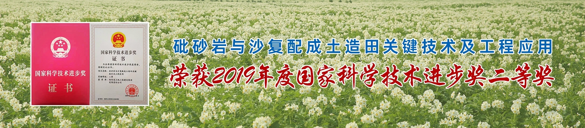 NG´óÎę̀(ÖйúÓÎ)ÏàÐÅÆ·ÅƵÄʵÁ¦