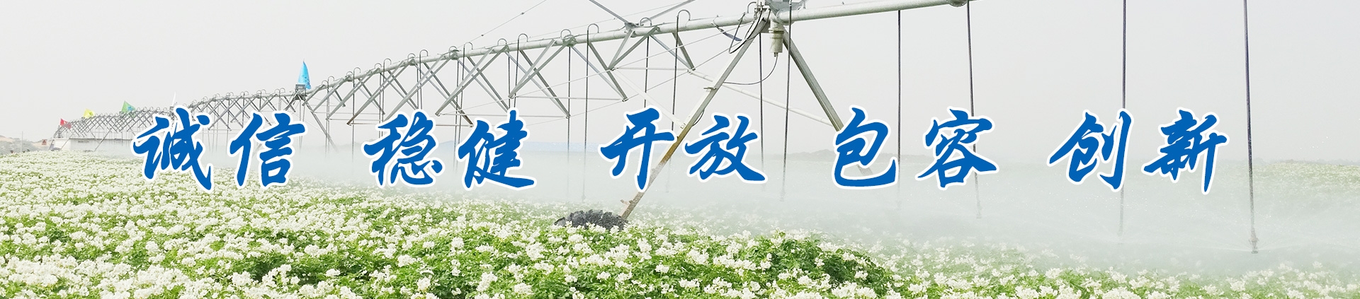 NG´óÎę̀(ÖйúÓÎ)ÏàÐÅÆ·ÅƵÄʵÁ¦