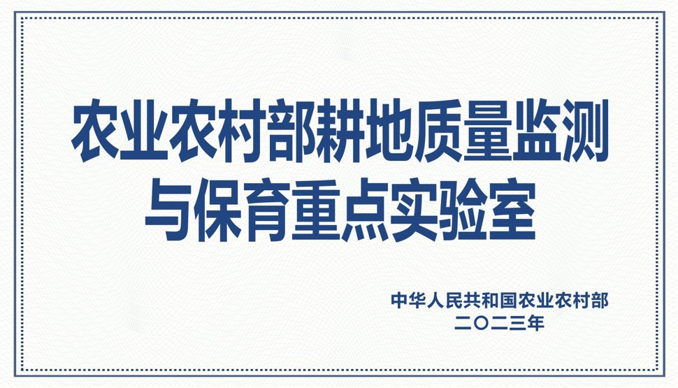 NG´óÎę̀(ÖйúÓÎ)ÏàÐÅÆ·ÅƵÄʵÁ¦