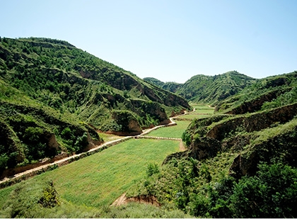 NG´óÎę̀(ÖйúÓÎ)ÏàÐÅÆ·ÅƵÄʵÁ¦