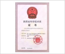 NG´óÎę̀(ÖйúÓÎ)ÏàÐÅÆ·ÅƵÄʵÁ¦