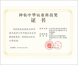 NG´óÎę̀(ÖйúÓÎ)ÏàÐÅÆ·ÅƵÄʵÁ¦