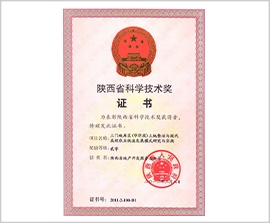 NG´óÎę̀(ÖйúÓÎ)ÏàÐÅÆ·ÅƵÄʵÁ¦