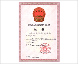 NG´óÎę̀(ÖйúÓÎ)ÏàÐÅÆ·ÅƵÄʵÁ¦